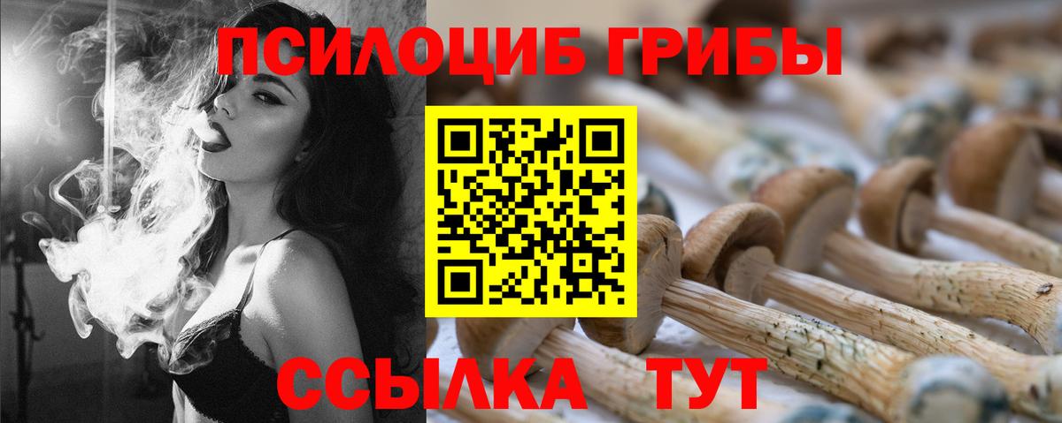 Оренбург  Псилоцибиновые грибы Cubensis  Вход с VPN 